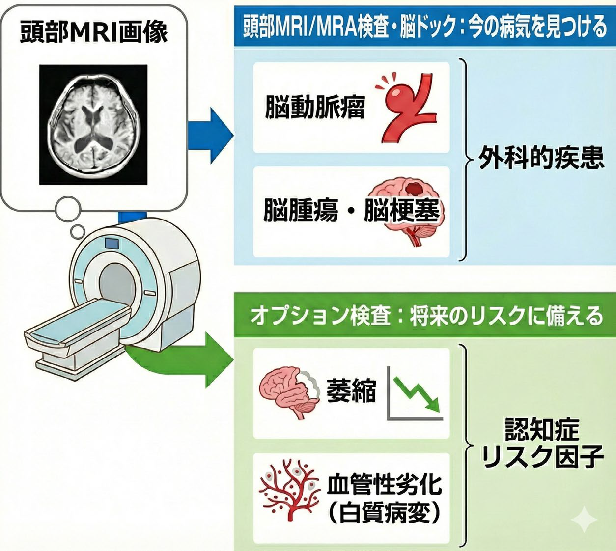MVision health：脳ドックの違い