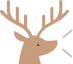お急ぎの方はこちら