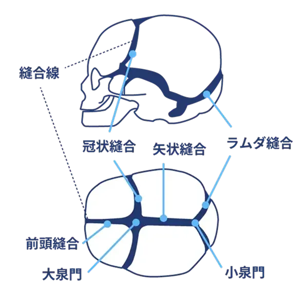 病気が原因の可能性も